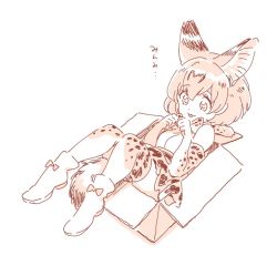 Rule 34 | 10s, 1girl, :3, :p, animal ears, bare shoulders, bow, bowtie, box, closed mouth, commentary, elbow gloves, gloves, in box, in container, kemono friends, lying, mitsumoto jouji, monochrome, on back, serval (kemono friends), serval print, serval tail, shirt, short hair, simple background, skirt, sleeveless, sleeveless shirt, solo, tail, tongue, tongue out, white background