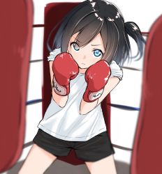 Rule 34 | 1girl, black hair, black shorts, blue eyes, blurry, blurry background, boxing gloves, boxing ring, commentary request, depth of field, hair between eyes, hair over one eye, hands up, head tilt, highres, looking at viewer, one side up, original, shirt, short shorts, short sleeves, shorts, solo, standing, suzunari shizuku, white shirt, yuki arare