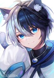 Rule 34 | 1boy, :3, animal ears, bandaid, bandaid on face, bandaid on nose, black hair, black shirt, blue eyes, cat boy, cat ears, cat tail, closed mouth, highres, indie virtual youtuber, jewelry, long sleeves, male focus, multicolored hair, necklace, nixtutyannh, rugetsu pepo, shirt, sleeves past fingers, sleeves past wrists, split-color hair, sweater, tail, turtleneck, virtual youtuber, white hair, white sweater, yin yang