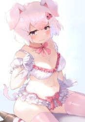 Rule 34 | 1girl, adjusting strap, animal ears, armband, azuma 11 ma, black footwear, blush, bob cut, bow, bow bra, bow panties, bra, breasts, choker, cleavage, closed mouth, frilled armband, frilled bra, frilled panties, frills, frown, gloves, gradient hair, hair ornament, half-closed eyes, high heels, highres, kemono friends, lingerie, looking at viewer, medium breasts, multicolored hair, navel, panties, pig (kemono friends), pig ears, pig girl, pig tail, pink choker, pink eyes, pink hair, pink panties, pink thighhighs, plump, ribbon, short hair, sidelighting, sitting, solo, strap slip, tail, thighhighs, underwear, underwear only, wariza, white bra, white gloves, white hair