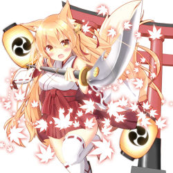 Rule 34 | 1girl, animal ears, bell, blonde hair, blush, breasts, detached sleeves, fang, fox ears, fox tail, hair bell, hair ornament, hair ribbon, hakama, hakama skirt, holding, holding weapon, japanese clothes, kitsune, lantern, leaf, long hair, looking at viewer, maple leaf, medium breasts, miko, mirea, mitsudomoe (shape), naginata, open mouth, original, paper lantern, polearm, red hakama, renka (llawliet39), ribbon, ribbon-trimmed legwear, ribbon-trimmed sleeves, ribbon trim, skirt, solo, tail, thighhighs, tomoe (symbol), torii, weapon, white thighhighs, wide sleeves