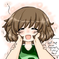 Rule 34 | 10s, 1girl, akiyama yukari, blush, english text, closed eyes, facing viewer, fluffy, girls und panzer, green shirt, hands on another&#039;s cheeks, hands on another&#039;s face, hands on another&#039;s wrists, happy, messy hair, open mouth, pink background, playing with another&#039;s hair, pov, pov hands, rori (4chan), shirt, simple background, smile, solo focus, speech bubble