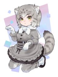 Rule 34 | 1girl, an-chan (ananna0315), animal ears, black fur, blush, boots, buttons, cat ears, cat girl, cat tail, commentary request, frilled skirt, frills, fur trim, gloves, grey fur, grey hair, grey pantyhose, grey skirt, grey sweater, high-waist skirt, highres, kemono friends, kneeling, long sleeves, multicolored hair, pallas&#039;s cat (kemono friends), pantyhose, paw pose, short hair, skirt, solo, sweater, tail, white footwear, white gloves, white hair, white neckwear, yellow eyes