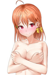 Rule 34 | 10s, 1girl, bad id, bad pixiv id, blush, breasts, cleavage, clover hair ornament, collarbone, completely nude, covering privates, covering breasts, crossed arms, female focus, hachinatsu, hair ornament, hair ribbon, hairclip, highres, love live!, love live! sunshine!!, medium breasts, nude, orange hair, red eyes, ribbon, short hair, simple background, smile, solo, takami chika, topless frame, upper body, white background