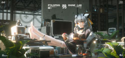Rule 34 | 1girl, animal ears, arknights, black dress, book, choker, crossed legs, cup, day, dress, english text, feet on table, feet up, grey hair, highres, holding, holding poke ball, ibara dance, indoors, jacket, jar, keyboard (computer), long sleeves, looking at viewer, monitor, open clothes, open jacket, orange eyes, plant, poke ball, poke ball (basic), potted plant, ptilopsis (arknights), solo, thighhighs, window