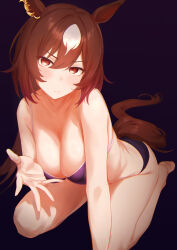 Rule 34 | 1girl, absurdres, alternate costume, animal ears, bikini, black background, black bikini, blush, breasts, brown hair, cleavage, closed mouth, commentary request, hair between eyes, highres, horse ears, horse girl, horse tail, large breasts, long hair, looking at viewer, multicolored hair, red eyes, simple background, sirius symboli (umamusume), solo, streaked hair, swimsuit, tail, umamusume, white hair, yonemochi yume