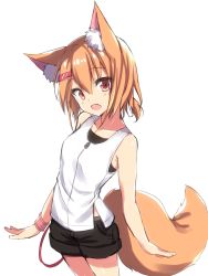Rule 34 | 1girl, animal ear fluff, animal ears, bare shoulders, black shorts, borrowed character, commentary request, cowboy shot, fang, fox ears, fox girl, fox tail, hair ornament, hairclip, highres, honoka chiffon, looking at viewer, open mouth, orange hair, original, red eyes, shirt, short hair, short shorts, shorts, simple background, sleeveless, smile, solo, tail, white background, white shirt, wristband