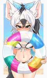 Rule 34 | 1girl, :&lt;, aardwolf (kemono friends), aardwolf print, animal ear fluff, animal ears, animal print, beach, bikini, bikini under clothes, black eyes, black hair, blue bow, blush, bow, breasts, closed mouth, cowboy shot, day, embarrassed, extra ears, eyelashes, front-tie bikini top, front-tie top, furrowed brow, grey hair, hair between eyes, hair bow, hands up, high ponytail, highres, holding, holding swim ring, innertube, jewelry, kemono friends, long hair, looking at viewer, medium breasts, multicolored hair, navel, necklace, nose blush, official alternate costume, open clothes, open fly, open shorts, outdoors, polka dot, polka dot bow, print bikini, print shorts, sand, shell, shell necklace, short shorts, shorts, skindentation, solo, stomach, swim ring, swimsuit, tail, unbuttoned, white hair, wonderful waon