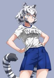 Rule 34 | 1girl, absurdres, alternate costume, animal ears, bare arms, black hair, blue eyes, blue shorts, cat girl, closed mouth, clothes writing, commentary request, contemporary, expressionless, extra ears, grey background, hands on own hips, highres, kemono friends, looking at viewer, medium hair, multicolored hair, shirt, short sleeves, shorts, side ponytail, simple background, solo, streaked hair, t-shirt, tail, tanabe (fueisei), tiger ears, tiger girl, tiger tail, two-tone hair, white hair, white shirt, white tiger (kemono friends)