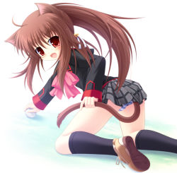 Rule 34 | 1girl, all fours, animal ears, ass, baseball, bell, bow, brown hair, cat ears, cat tail, hair bell, hair ornament, hand fan, kneehighs, little busters!, long hair, natsume rin, open mouth, panties, pink bow, plaid, plaid skirt, ponytail, red eyes, school uniform, skirt, socks, solo, striped clothes, striped panties, tail, underwear, yokuran