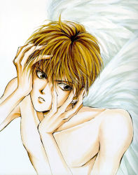 Rule 34 | 1boy, angel cage, angel sanctuary, angel wings, artbook, blonde hair, earrings, hands on own face, highres, jewelry, male focus, mudou setsuna, parted lips, topless male, short hair, solo, wings, yellow eyes, yuki kaori