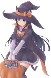 Rule 34 | 1girl, adapted costume, animal ears, asashio (kancolle), asashio kai ni (kancolle), black hair, black hat, blue eyes, cat ears, cat tail, commentary request, cowboy shot, dress, gloves, halloween bucket, hat, highres, kantai collection, long hair, long sleeves, meihemu, pinafore dress, pumpkin, shirt, simple background, sleeveless, sleeveless dress, solo, standing, striped clothes, striped thighhighs, tail, thighhighs, torpedo, white background, white gloves, white shirt, witch hat