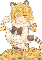 Rule 34 | 1girl, animal ears, animal print, arm up, belt, black hair, blonde hair, breast pocket, center frills, commentary request, elbow gloves, extra ears, fangs, frills, fur scarf, gloves, hair between eyes, hand up, high-waist skirt, jaguar (kemono friends), jaguar ears, jaguar print, jaguar tail, kemono friends, light smile, looking at viewer, medium hair, multicolored hair, open mouth, orange eyes, pocket, print gloves, print neckwear, print skirt, scarf, shirt, short sleeves, sidelocks, simple background, skirt, solo, tail, tsukeo, two-tone hair, upper body, white background, white shirt