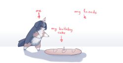 Rule 34 | absurdres, animal, baguette, bernese mountain dog, birthday, blind girl&#039;s dog (popopoka), bread, candle, dog, english text, food, hat, highres, lonely, no humans, original, party hat, popopoka, smile, solo