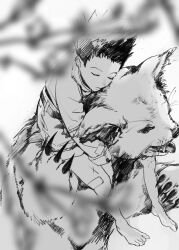 Rule 34 | 1boy, almostghost, animal, bandaid, bandaid on leg, barefoot, child, closed eyes, from above, full body, gon freecss, highres, hunter x hunter, jacket, kon (hunter x hunter), leaning on animal, long sleeves, male focus, monochrome, outdoors, shorts, sleeping, spiked hair