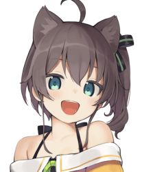 Rule 34 | 1girl, :d, ahoge, animal ear fluff, animal ears, bare shoulders, black bow, blue eyes, blush, bow, brown hair, cat ears, collarbone, commentary request, hair between eyes, hair bow, highres, hololive, long hair, looking at viewer, natsuiro matsuri, natsuiro matsuri (1st costume), off-shoulder shirt, off shoulder, open mouth, orange shirt, seramikku, shirt, smile, solo, striped, striped bow, teeth, upper teeth only, virtual youtuber