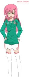 Rule 34 | 1girl, 2010 fifa world cup, absurdres, hayate no gotoku!, highres, katsura hinagiku, mexico, soccer, solo, vastolord-sama, world cup