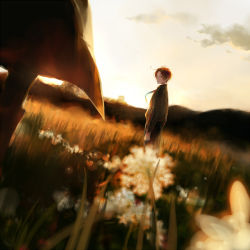 Rule 34 | 00s, 1boy, androgynous, axis powers hetalia, blurry, cloud, dandelion, depth of field, dutch angle, field, flower, looking back, male focus, nature, northern italy (hetalia), outdoors, plant, realistic, rei (sanbonzakura), shadow, sky, solo focus, standing, sunlight, sunset