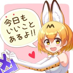 Rule 34 | 10s, 1girl, :d, animal ears, bare shoulders, blonde hair, blush, bow, bowtie, elbow gloves, extra ears, fang, from side, gloves, hair between eyes, heart, kemono friends, lilium443, looking at viewer, looking to the side, open mouth, pink background, print bow, print bowtie, print gloves, print neckwear, serval (kemono friends), serval print, shirt, short hair, sleeveless, smile, solo, speech bubble, translated, upper body, white shirt, yellow eyes