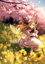 Rule 34 | 1girl, bad id, bad pixiv id, blonde hair, blue eyes, blurry, blurry background, blurry foreground, bow, bowtie, capelet, cherry blossoms, dappled sunlight, depth of field, dise (psychoro), dress, fairy wings, hand up, hat, highres, lily white, long hair, long sleeves, outdoors, rapeseed blossoms, red bow, red bowtie, ribbon, sash, scenery, shoes, smile, socks, solo, spring (season), standing, sunlight, touhou, wide sleeves, wings