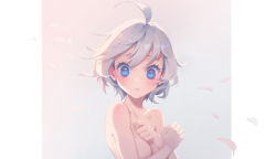 Rule 34 | 1girl, :o, ahoge, blue eyes, blush, breasts, cleavage, collarbone, commentary request, covering privates, covering breasts, crossed arms, deme (karesuki), eyelashes, gradient background, grey background, highres, lips, looking at viewer, medium breasts, no pupils, nude, open mouth, original, petals, short hair, silver hair, solo, upper body