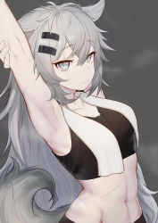 Rule 34 | 1girl, absurdres, animal ears, arknights, armpits, arms up, bare shoulders, bra visible through clothes, collarbone, crop top, grey background, grey eyes, hair between eyes, hair ornament, hairclip, highres, lappland (arknights), long hair, looking at viewer, midriff, navel, scar, scar across eye, scar on face, scar on stomach, shiliuyexiaohei, silver hair, simple background, solo, sports bra, stitches, stomach, tail, towel, towel around neck, upper body, very long hair, wolf ears, wolf tail
