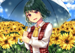 Rule 34 | 1girl, arms up, ascot, bad id, bad pixiv id, blue sky, cloud, commentary request, day, field, flower, flower field, garden of the sun, green hair, head tilt, holding, holding umbrella, kazami yuuka, leaf, light particles, long sleeves, looking at viewer, maitacoco, open clothes, open mouth, open vest, outdoors, plaid, plaid vest, red eyes, shirt, short hair, sky, solo, standing, sunflower, sunflower field, touhou, umbrella, upper body, vest, white shirt, yellow ascot
