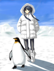 Rule 34 | 1girl, animal, aquaplus, arms behind back, bird, black hair, blue eyes, blue sky, blush, boots, coat, height difference, highres, hime cut, hood, hood up, hooded coat, long hair, long sleeves, looking to the side, pantyhose, parted lips, penguin, raised eyebrows, sidelocks, sky, snow, solo, standing, touma kazusa, very long hair, walking, white album, white album (series), white album 2, white coat, winter clothes, winter coat