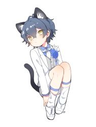 Rule 34 | 1boy, animal ears, blue hair, cat boy, cat ears, cat tail, choco (moyasi), facing viewer, heart, heart-shaped pupils, highres, long sleeves, looking at viewer, male focus, original, short hair, shorts, simple background, solo, symbol-shaped pupils, tail, white background, yellow eyes