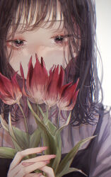 Rule 34 | 1girl, brown hair, covered mouth, crying, crying with eyes open, eyelashes, fingernails, flower, grey background, highres, holding, holding flower, long hair, looking at viewer, medium hair, nail polish, original, pink nails, red flower, red tulip, sameukiwa, shirt, solo, tears, tulip, upper body, white background, white shirt