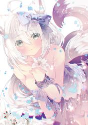 Rule 34 | 1girl, ahoge, animal ear fluff, animal ears, bare shoulders, breasts, closed mouth, dress, eyes visible through hair, flower, fox ears, fox girl, fox tail, highres, hololive, long hair, looking at viewer, medium breasts, moo (umineko), multicolored clothes, multicolored dress, petals, ribbon, shirakami fubuki, smile, solo, star (symbol), tail, thigh strap, virtual youtuber, white flower, white hair, wrist cuffs