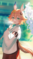 Rule 34 | 1girl, animal ears, commentary request, dolce (dolsuke), gohei, green eyes, hair ornament, highres, holding, horse ears, horse girl, horse tail, japanese clothes, light smile, long sleeves, looking at viewer, matikanefukukitaru (umamusume), miko, open mouth, orange hair, short hair, smile, solo, sparkling eyes, tail, umamusume
