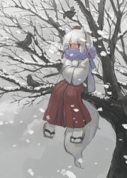 Rule 34 | 1girl, absurdres, animal ears, bird, cold, crow, hat, highres, in tree, inubashiri momiji, pants, pororikin, red eyes, red hat, red pants, sandals, scarf, sitting, sitting in tree, snow, snowing, tail, touhou, tree, white hair, wolf ears, wolf tail