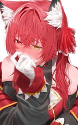 Rule 34 | 1girl, animal ear fluff, animal ears, bad id, bad twitter id, black jacket, blush, cat ears, covering own mouth, gloves, hair between eyes, hair ribbon, hand up, highres, hololive, houshou marine, jacket, long hair, long sleeves, looking away, off shoulder, open clothes, open jacket, red eyes, red hair, red ribbon, revision, ribbon, simple background, solo, tarutaru (ryousuke), twintails, upper body, virtual youtuber, white background, white gloves, yellow eyes