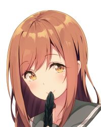 Rule 34 | 10s, 1girl, bad id, bad twitter id, black feathers, brown eyes, brown hair, covering own mouth, feathers, kunikida hanamaru, long hair, looking to the side, love live!, love live! sunshine!!, matching hair/eyes, portrait, school uniform, serafuku, simple background, siva (executor), smile, solo, white background