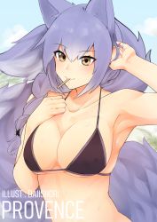 Rule 34 | 1girl, absurdres, animal ears, arknights, arm up, armpits, artist name, bad id, bad pixiv id, bare shoulders, bikini, black bikini, blue sky, blush, braid, breasts, brown eyes, character name, cloud, collarbone, commentary, daiishori, day, hair between eyes, halterneck, highres, large breasts, large tail, long hair, looking at viewer, mouth hold, outdoors, provence (arknights), purple hair, sky, smile, solo, stomach, swimsuit, tail, upper body, wolf ears, wolf tail