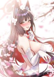 Rule 34 | 1girl, :d, alternate costume, animal ear fluff, animal ears, backless dress, backless outfit, bare back, black hair, blue archive, blunt bangs, blurry, blush, branch, breasts, cherry blossoms, colored inner hair, commentary request, depth of field, dress, elbow gloves, eyeshadow, falling petals, flower, fox ears, fox girl, from behind, gloves, hair flower, hair ornament, halo, highres, jewelry, large breasts, long hair, looking at viewer, looking back, makeup, multicolored hair, open mouth, petals, picter, red eyeshadow, ring, sideboob, sidelocks, simple background, sleeveless, smile, solo, two-tone hair, wakamo (blue archive), wedding dress, wedding ring, white background, white dress, white gloves, wind, yellow eyes