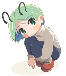 Rule 34 | 1girl, antennae, blush, closed mouth, collared shirt, commentary, expressionless, full body, green hair, grey pants, highres, hugging own legs, long sleeves, looking at viewer, mary janes, medium bangs, pants, red footwear, shirt, shoes, short hair, simple background, socks, solo, squatting, swept bangs, touhou, ugif, white background, white shirt, white socks, wriggle nightbug