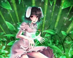 Rule 34 | 1girl, animal ears, bamboo, bamboo forest, brown hair, rabbit ears, clover, female focus, forest, four-leaf clover, gayprince, green theme, highres, inaba tewi, magic, nature, open hands, outstretched hand, red eyes, short hair, solo, tail, touhou