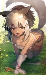 Rule 34 | 1girl, all fours, animal ears, bare shoulders, breasts, collarbone, day, facial mark, fang, fox ears, fox girl, fox tail, fur, fur gloves, grass, hair between eyes, looking at viewer, on grass, open mouth, original, outdoors, red eyes, silver hair, sketch, small breasts, solo, tail, yuuji (yukimimi)