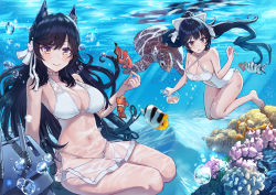 Rule 34 | 2girls, :d, animal, atago (azur lane), atago (summer march) (azur lane), atago (summer march) (azur lane), ayul (ayulneri 92), azur lane, bare arms, bare legs, bare shoulders, barefoot, bikini, black hair, blush, bow, breasts, brown eyes, bubble, caustics, choker, cleavage, closed mouth, clownfish, commentary request, coral, criss-cross halter, day, fish, freediving, hair bow, hair ribbon, halterneck, highres, large breasts, long hair, looking at viewer, mole, mole under eye, multiple girls, one-piece swimsuit, open mouth, outdoors, ponytail, ribbon, sea turtle, see-through, smile, sparkle, swimsuit, takao (azur lane), takao (beach rhapsody) (azur lane), thighs, turret, turtle, underwater, very long hair, water, white bikini, white bow, white one-piece swimsuit, white ribbon