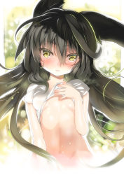 Rule 34 | 1girl, animal ears, black hair, blush, breasts, char, clothes lift, highres, long hair, looking at viewer, navel, necro-san, original, parted lips, shirt lift, small breasts, solo, underboob, yellow eyes