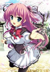 Rule 34 | 1girl, absurdres, black pantyhose, black ribbon, blue eyes, cherry blossoms, hair ribbon, highres, long hair, open mouth, outdoors, pantyhose, pink hair, pleated skirt, princess evangile, ribbon, rousen&#039;in rise, skirt, solo, two side up, white skirt, yamakaze ran