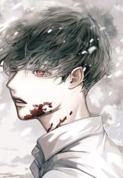 Rule 34 | 1boy, absurdres, black eyes, black hair, blood, blood on face, cognacbear, collared shirt, commentary request, cover, cover page, from side, heterochromia, highres, looking afar, male focus, novel cover, novel illustration, official art, parted lips, portrait, red eyes, shirt, short hair, simple background, solo, white background
