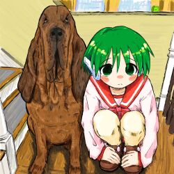 Rule 34 | 1girl, animal, blush, bubbacterial, closed mouth, dog, empty eyes, green eyes, green hair, grey hair, hands on own feet, highres, indoors, loafers, long sleeves, multi (to heart), red sailor collar, robot ears, sailor collar, school uniform, serafuku, shoes, short hair, squatting, stairs, to heart, to heart (series)