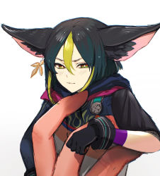 Rule 34 | 1boy, 1other, angry, animal ear fluff, animal ears, asymmetrical sleeves, black gloves, black hair, blunt ends, bright pupils, brown eyes, clenched teeth, commentary, earrings, english commentary, fox boy, fox ears, genshin impact, glaring, gloves, gradient eyes, green eyes, green hair, hair between eyes, highres, holding, hood, hood down, hoodie, jewelry, kureppuru, long sleeves, looking at viewer, male focus, medal, mini person, miniboy, multicolored eyes, multicolored hair, short hair, short sleeves, sidelocks, single earring, solo focus, teeth, tighnari (genshin impact), two-tone hair, upper body, v-shaped eyebrows, white pupils
