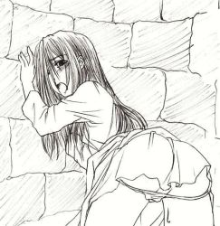 Rule 34 | 1girl, against wall, ass, black eyes, blush, hair over one eye, long hair, monochrome, open mouth, panties, panty pull, the ring, underwear, well, yamamura sadako, you gonna get raped