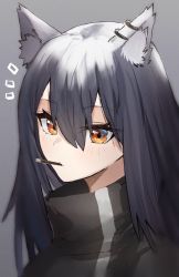 Rule 34 | 1girl, ^^^, animal ear fluff, animal ears, arknights, black hair, blush, food, food in mouth, grey background, hair between eyes, high collar, highres, horn/wood, long hair, mouth hold, notice lines, orange eyes, pocky, simple background, solo, texas (arknights), upper body, wolf ears
