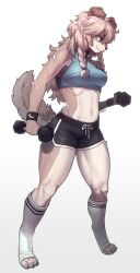 Rule 34 | 1girl, absurdres, animal ears, animal feet, animal nose, artist name, bare shoulders, black shorts, blue eyes, blue shirt, body fur, braid, breasts, brown fur, brown hair, claws, closed mouth, collar, commission, crop top, dog ears, dog girl, dog tail, dolphin shorts, drawstring, exercising, female focus, full body, furry, furry female, gradient background, happy, highres, kneehighs, legs, long hair, looking at viewer, medium breasts, midriff, navel, original, pawpads, pgm300, profile, second-party source, shirt, short shorts, shorts, side slit, sidelocks, signature, simple background, sleeveless, sleeveless shirt, smile, snout, socks, solo, standing, stomach, sweat, sweatband, tail, tail raised, thighs, toeless legwear, toes, twin braids, two-tone fur, weightlifting, white background, white fur, white socks, white trim