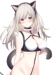 Rule 34 | 1girl, animal ears, arms behind head, bare arms, bare shoulders, black choker, blush, bottomless, bra, breasts, cat day, cat ears, cat girl, cat tail, choker, cleavage, closed mouth, cowboy shot, embarrassed, fake animal ears, frown, grey hair, hairband, large breasts, long hair, looking at viewer, miko (royal milk), navel, nose blush, original, purple eyes, simple background, solo, stomach, strap, tail, underwear, upper body, white background, white bra